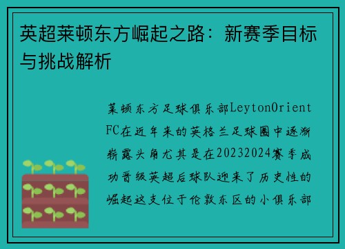 英超莱顿东方崛起之路:新赛季目标与挑战解析 英超莱顿东方崛起之路:新赛季目标与挑战解析